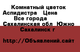 Комнатный цветок Аспидистра › Цена ­ 150 - Все города  »    . Сахалинская обл.,Южно-Сахалинск г.